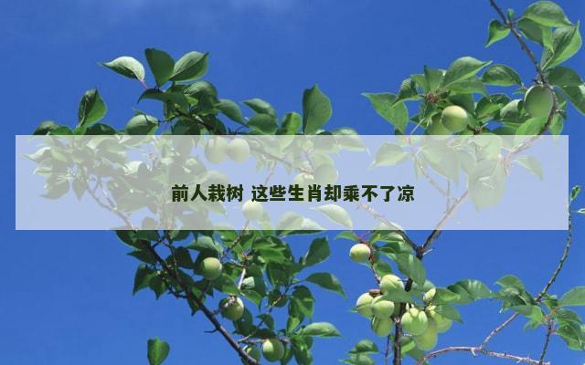 前人栽树 这些生肖却乘不了凉