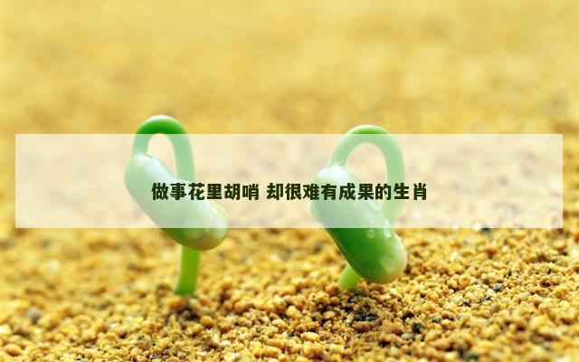 做事花里胡哨 却很难有成果的生肖