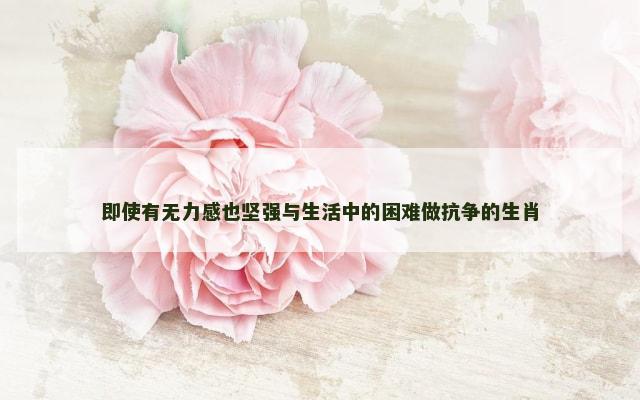 即使有无力感也坚强与生活中的困难做抗争的生肖