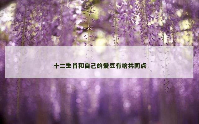 十二生肖和自己的爱豆有啥共同点