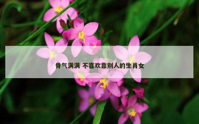 骨气满满 不喜欢靠别人的生肖女