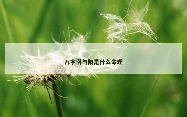八字阴与阳是什么命理