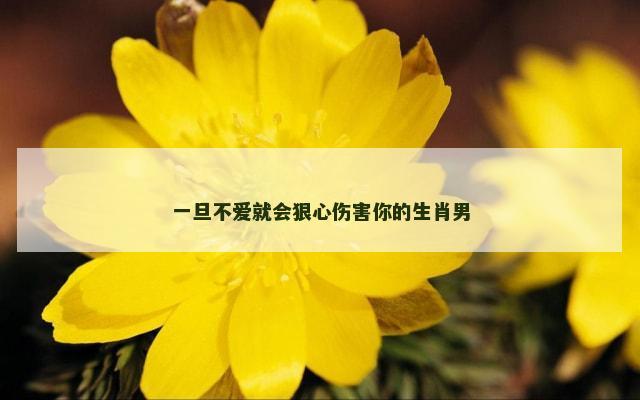 一旦不爱就会狠心伤害你的生肖男