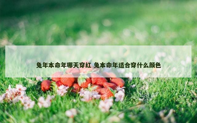 兔年本命年哪天穿红 兔本命年适合穿什么颜色