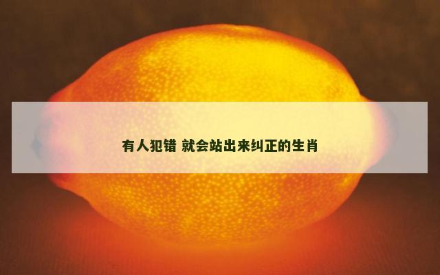 有人犯错 就会站出来纠正的生肖