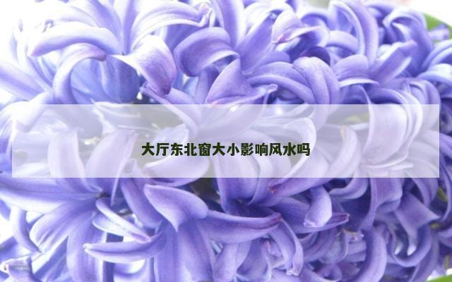 大厅东北窗大小影响风水吗
