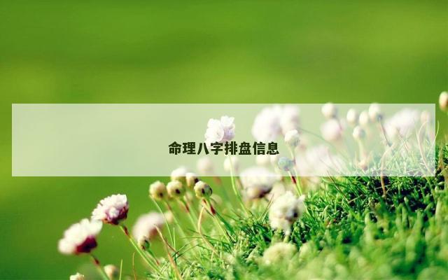 命理八字排盘信息