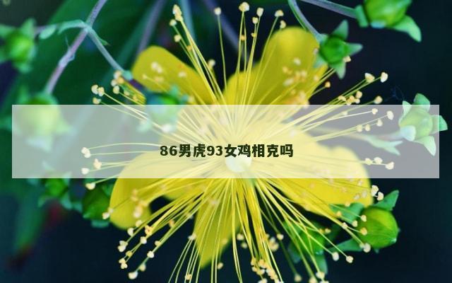 86男虎93女鸡相克吗