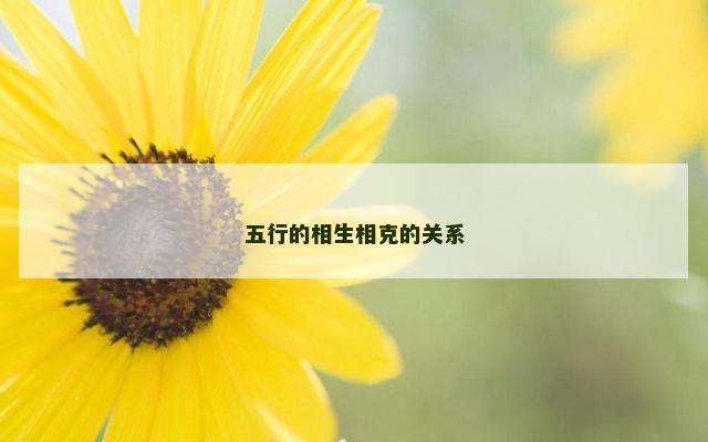 五行的相生相克的关系