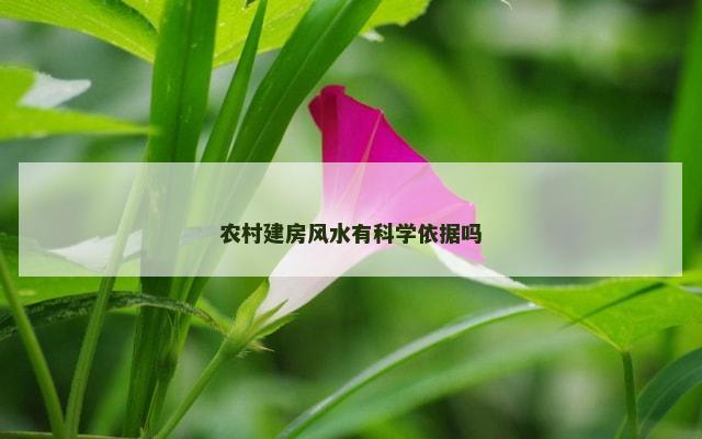 农村建房风水有科学依据吗