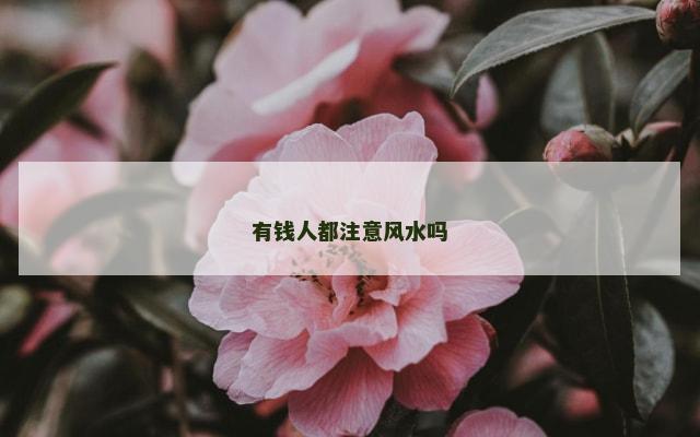 有钱人都注意风水吗