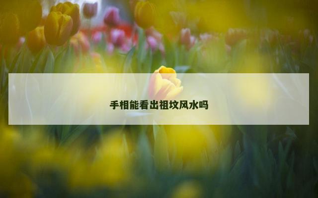 手相能看出祖坟风水吗