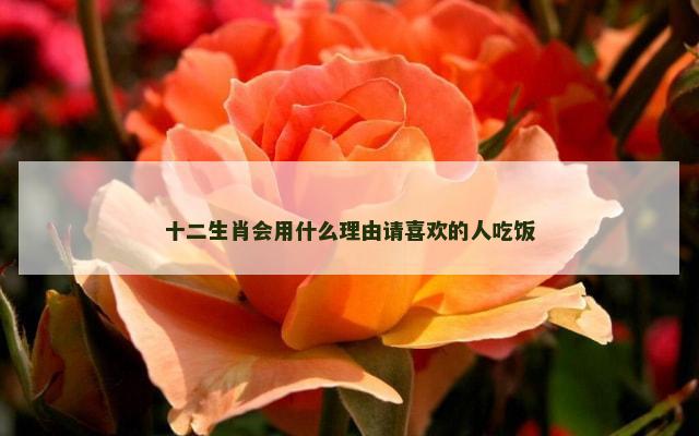 十二生肖会用什么理由请喜欢的人吃饭