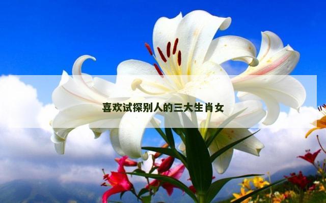 喜欢试探别人的三大生肖女