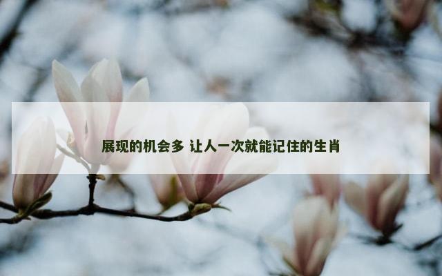 展现的机会多 让人一次就能记住的生肖