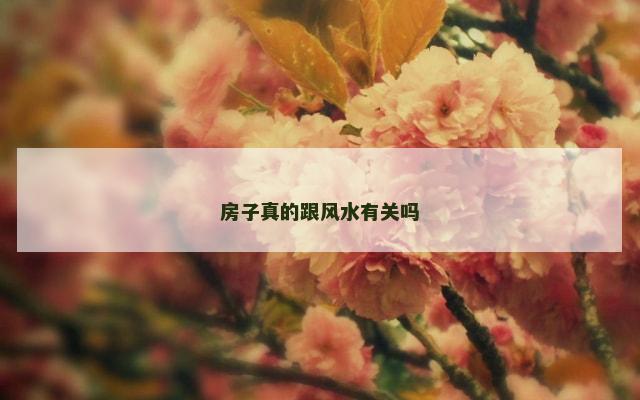 房子真的跟风水有关吗