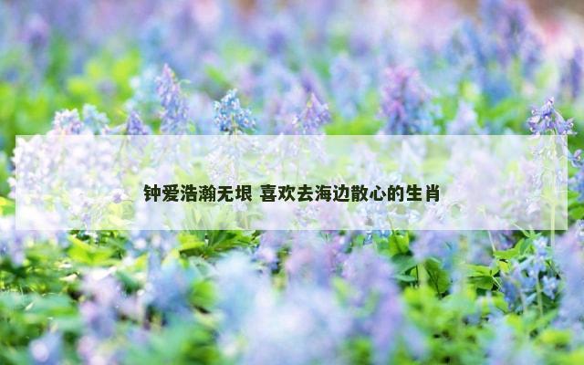 钟爱浩瀚无垠 喜欢去海边散心的生肖