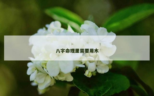 八字命理里需要用木
