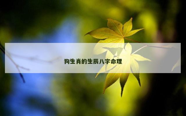 狗生肖的生辰八字命理
