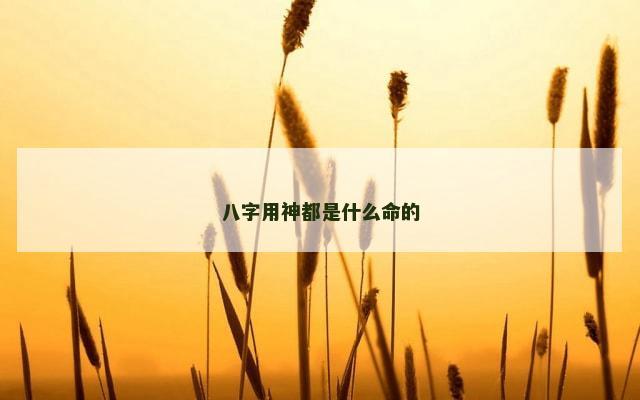 八字用神都是什么命的