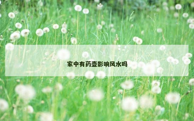 家中有药壶影响风水吗