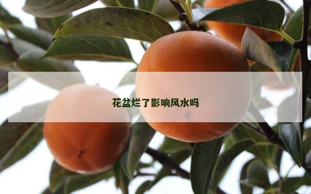 花盆烂了影响风水吗