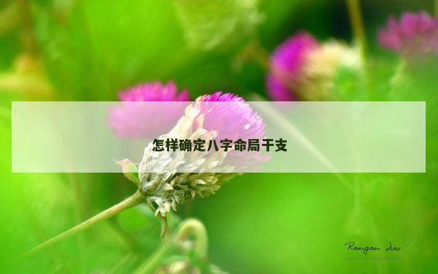 怎样确定八字命局干支