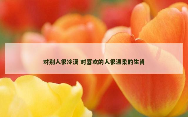 对别人很冷漠 对喜欢的人很温柔的生肖