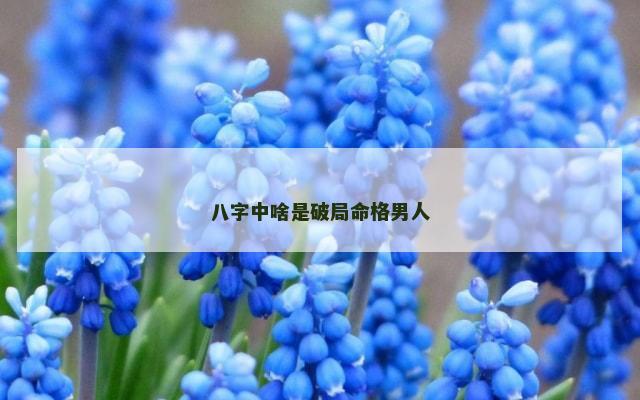 八字中啥是破局命格男人