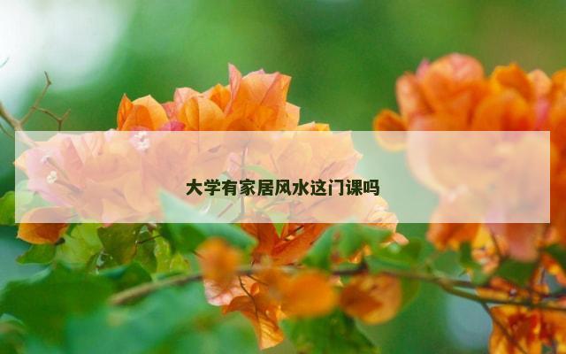 大学有家居风水这门课吗