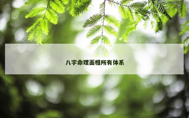 八字命理面相所有体系