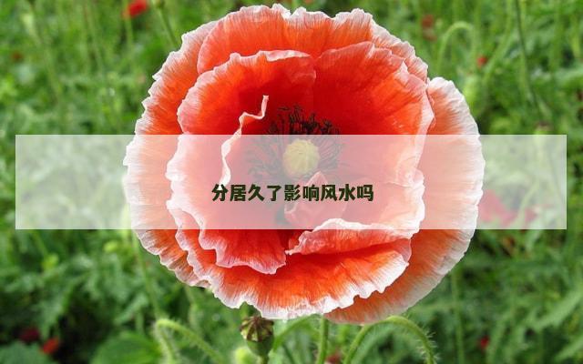 分居久了影响风水吗