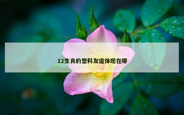 12生肖的塑料友谊体现在哪