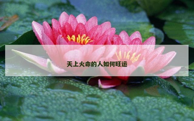 天上火命的人如何旺运
