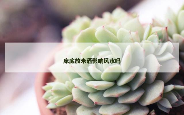 床底放米酒影响风水吗
