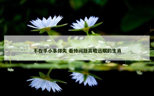 不在乎小事得失 看待问题高瞻远瞩的生肖