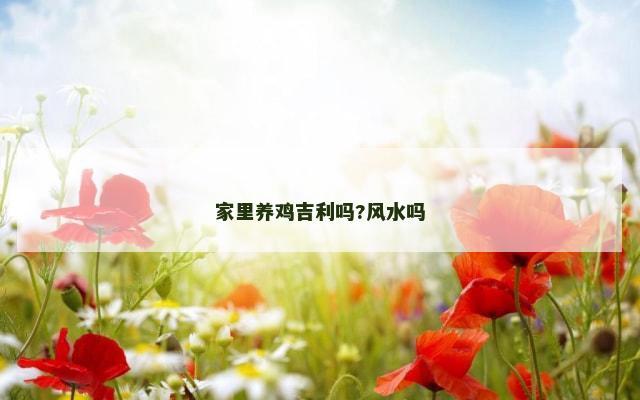 家里养鸡吉利吗?风水吗