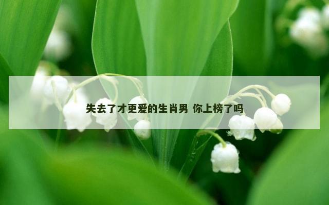 失去了才更爱的生肖男 你上榜了吗