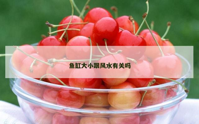 鱼缸大小跟风水有关吗