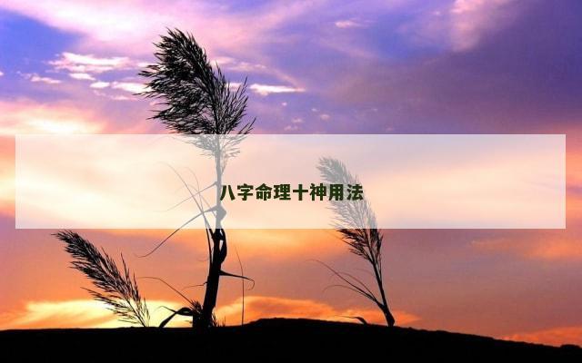 八字命理十神用法