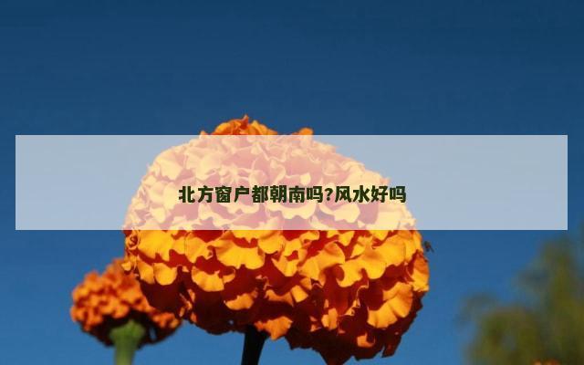 北方窗户都朝南吗?风水好吗