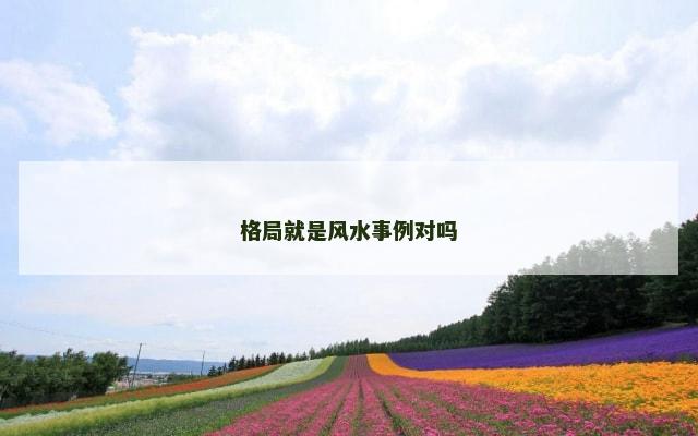格局就是风水事例对吗