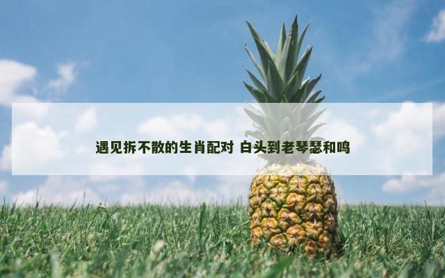遇见拆不散的生肖配对 白头到老琴瑟和鸣