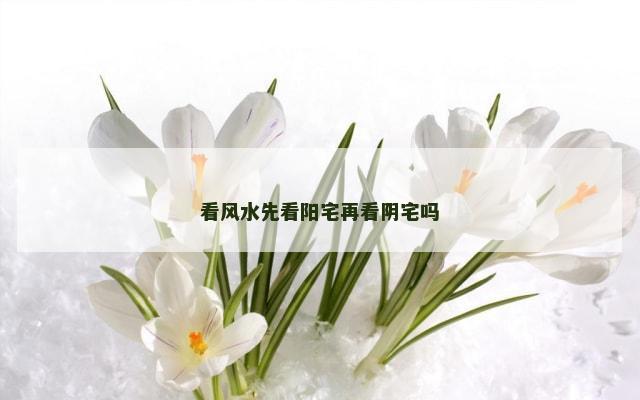 看风水先看阳宅再看阴宅吗