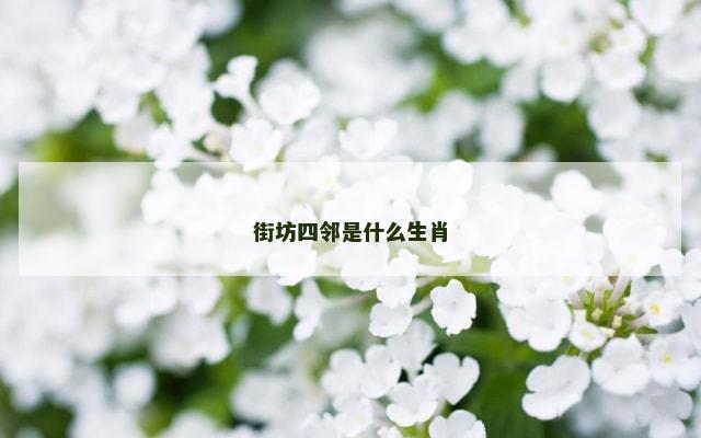 街坊四邻是什么生肖