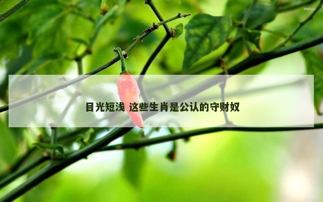 目光短浅 这些生肖是公认的守财奴