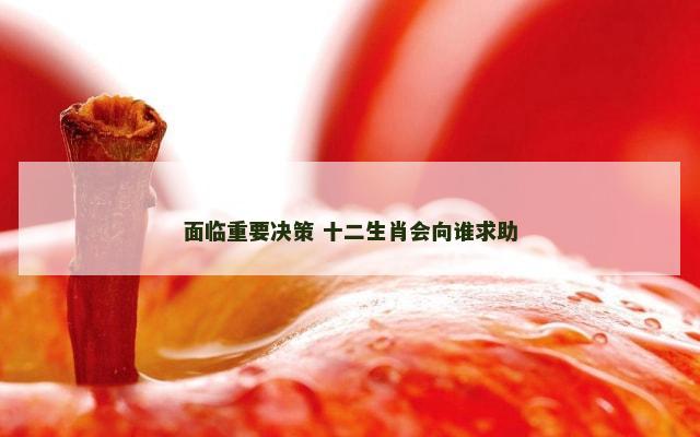 面临重要决策 十二生肖会向谁求助