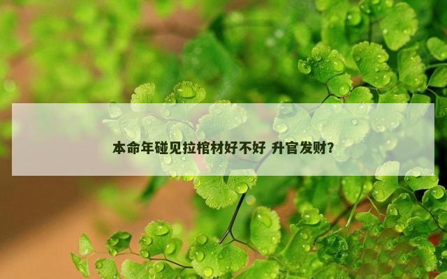 本命年碰见拉棺材好不好 升官发财？