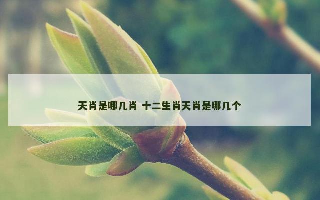天肖是哪几肖 十二生肖天肖是哪几个