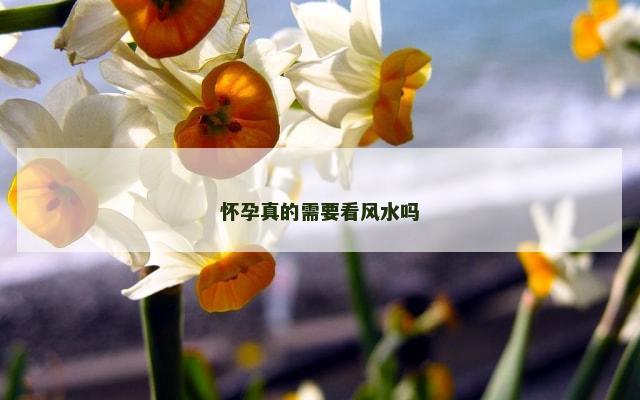怀孕真的需要看风水吗